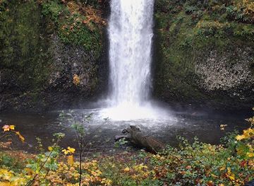 oregon/columbia-river-gorge/attraction/ainsworth-state-park