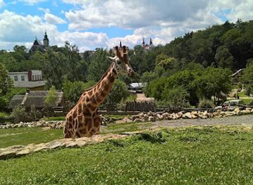 czechia/vysocina/attraction/zoological-garden-in-jihlava