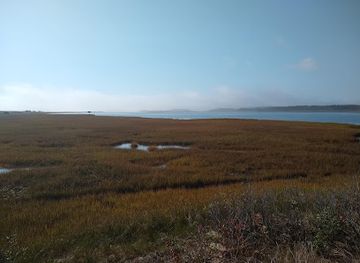 massachusetts/martha-s-vineyard/attraction/cape-poge-wildlife-refuge