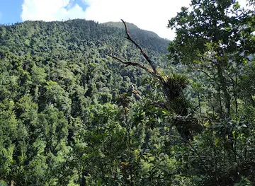 Syndicate Nature Trail