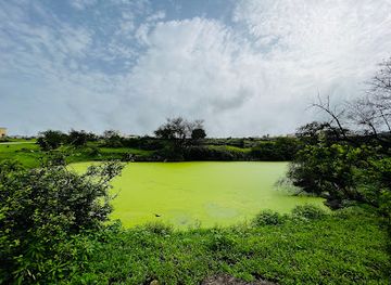 oman/mirbat/attraction/green-lake