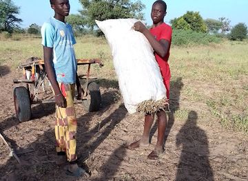 senegal/sine-saloum-delta/attraction/amp-protegee-de-sangomar