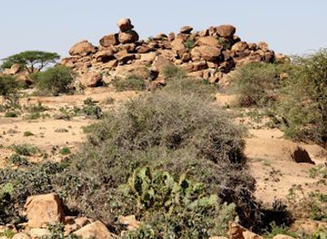 somalia/togdheer/attraction/las-geel-ancient-rock-paintings