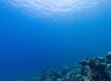 trinidad-and-tobago/tobago/attraction/mt-irvine-reef