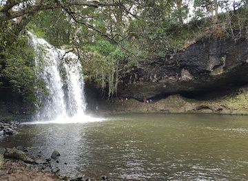 australia/northern-rivers/attraction/national-parks-wildlife-discovery-program-northern-rivers