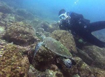 costa-rica/guanacaste/attraction/diving-nomads