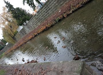 hungary/eger/attraction/vadkacsa-kolonia