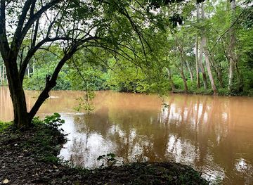 uganda/queen-elizabeth-national-park/attraction/chimp-tracking