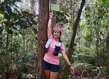 Gunung Rawang Matahari