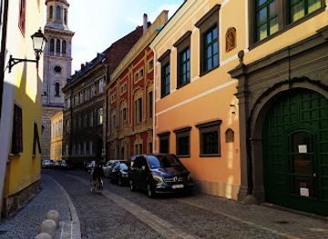 hungary/sopron-wine-region/attraction/esterhazy-palota-erdeszeti-muzeum-soproni-egyetem