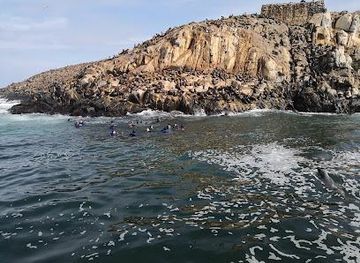 peru/lima/attraction/palomino-islands