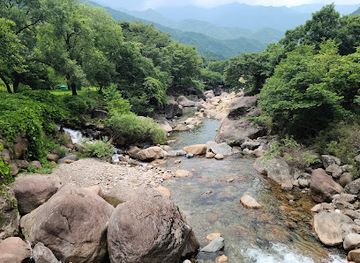 south-korea/jirisan-national-park/attraction/bear-village-halfmoon-bear-ecology-learning-center