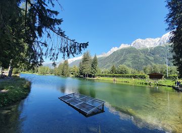 france/chamonix/attraction/adventure-park-addicted-park-gaillands