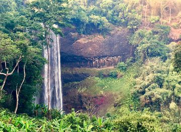laos/champasak-cultural-landscape/attraction/tad-tayicsua-homestay