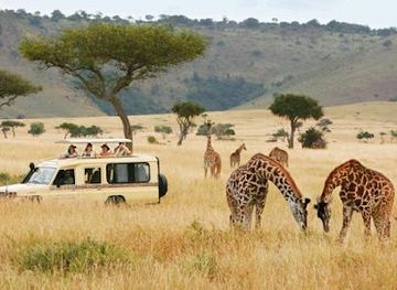 kenya/diani-beach/attraction/african-memorable-safaris