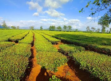 vietnam/central-highlands/attraction/bie-n-ho-che