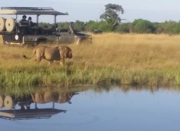 botswana/maun/attraction/afrimork-tours-botswana