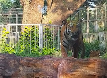 india/konkan-coast/attraction/veermata-jijabai-bhosale-botanical-udyan-and-zoo