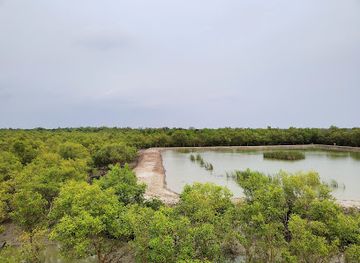bangladesh/sundarbans/attraction/sajnekhali-wildlife-sanctuary