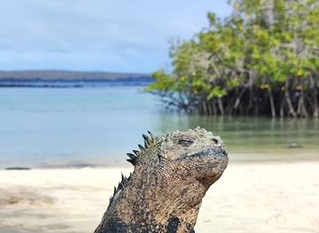 ecuador/galapagos-islands/attraction/galapagos-up-las-grietas