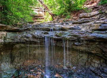 alabama/monte-sano-state-park/attraction/land-trust-of-north-alabama-monte-sano-nature-preserve-cleermont-trailhead