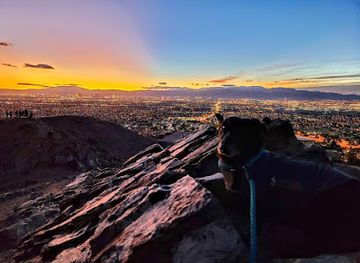 nevada/clark-county/attraction/las-vegas-skyline-view