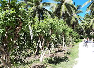 seychelles/praslin/attraction/vanille-plantagen