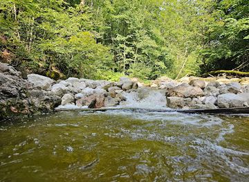 austria/flachgau/attraction/glasenbachklamm