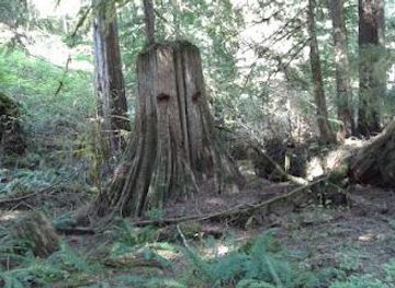 washington/bellingham/attraction/mt-baker-hwy