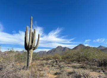 arizona/phoenix/attraction/gateway-trailhead-mcdowell-sonoran-preserve