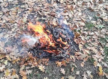 ukraine/donets-ridge/attraction/devyatovskiy-park