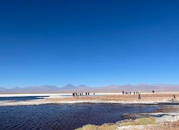chile/san-pedro-de-atacama/attraction/laguna-tebinquiche