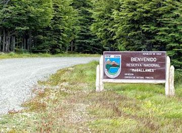 chile/punta-arenas/attraction/reserva-nacional-magallanes