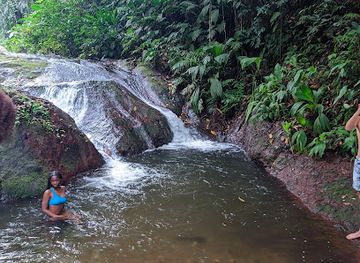 saint-vincent-and-the-grenadines/tobago-cays-marine-park/attraction/fenton-falls