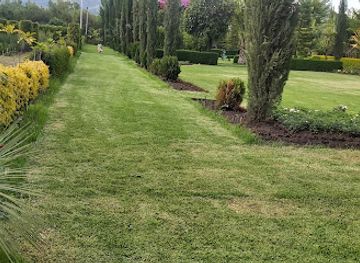 ethiopia/wollo/attraction/green-mesk-garden-senait-menafesha