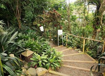 british-virgin-islands/jost-van-dyke/attraction/phantasea-tropical-botanical-garden