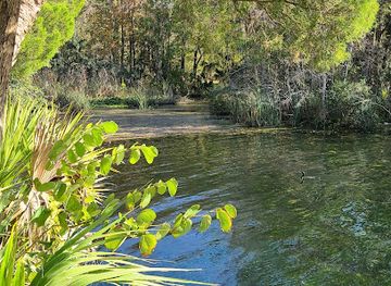 florida/crystal-river/attraction/king-s-bay-riverwalk