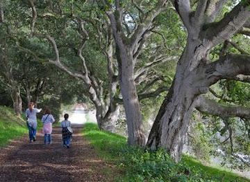 california/monterey/attraction/elkhorn-slough-reserve