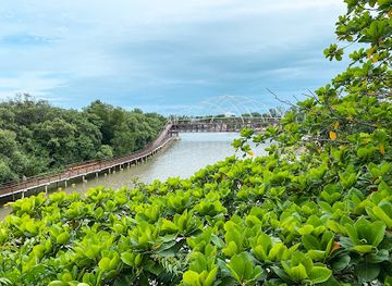 thailand/rayong/attraction/nature-trail-pak-chai-len-jed-sai-glai-nam-rayong