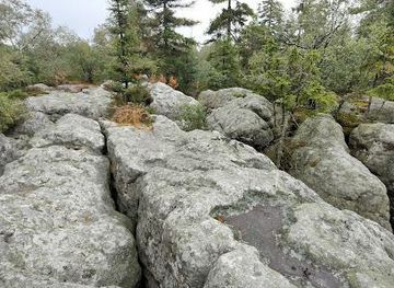 czechia/hradec-kralove/attraction/errant-rocks