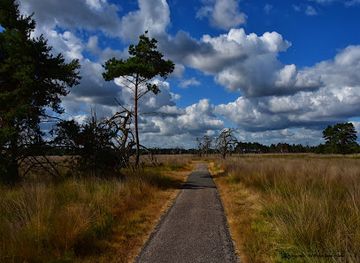 netherlands/hoge-veluwe-national-park/attraction/de-hoge-veluwe-nationaal-park