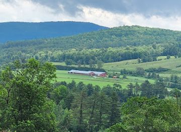 vermont/caledonia-county/attraction/dog-mountain-dog-chapel