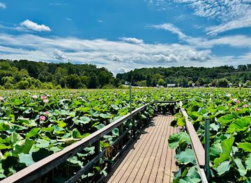 north-carolina/winston-salem/attraction/historic-bethabara