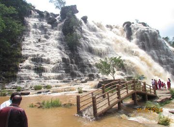 india/chhattisgarh/attraction/kanger-ghati-national-park