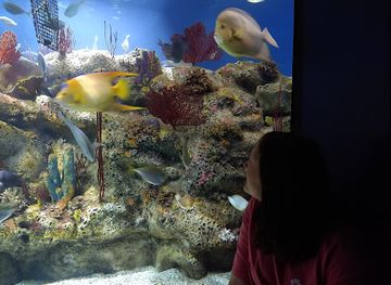 North Carolina Aquarium at Fort Fisher