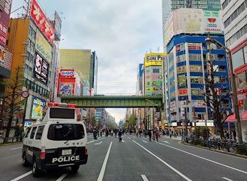 japan/tokyo/attraction/gigo-akihabara-5