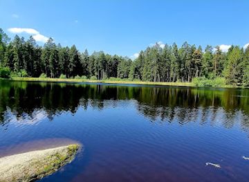 austria/waldviertel/attraction/naturpark-heidenreichsteiner-moor