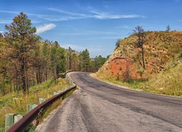 Black Hills National Forest