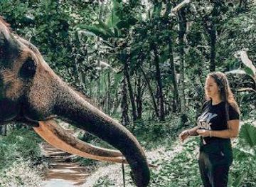 sri-lanka/kitulgala/attraction/millennium-elephant-foundation