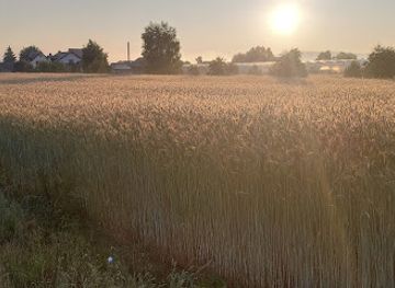 turks-and-caicos-islands/salt-cay/attraction/park-elizabeth